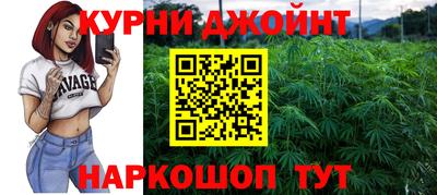 гашик Малгобек