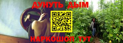 индика Мариинск