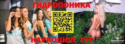 гашик Малгобек