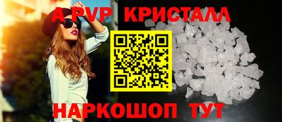 гашик Малгобек